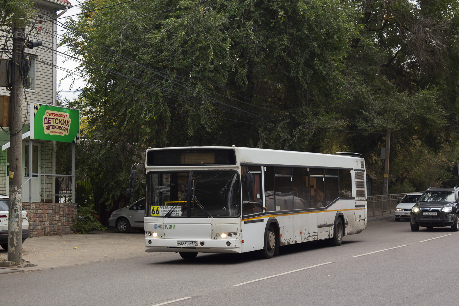 Воронежская область, МАЗ-103.585 № 19001