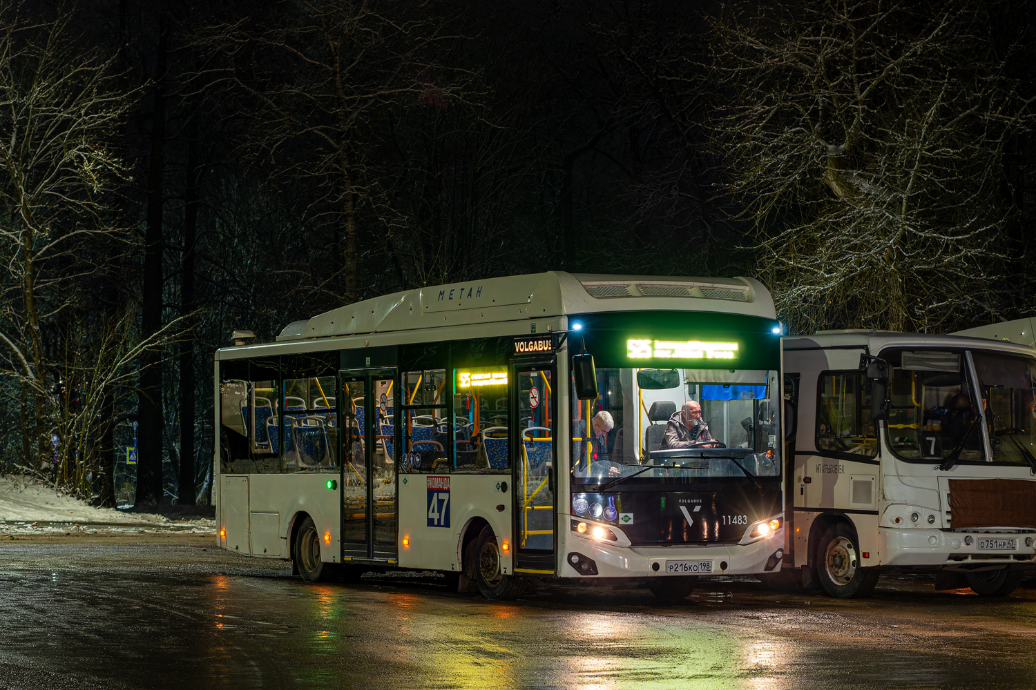 Ленинградская область, Volgabus-4298.G4 (CNG) № 11483