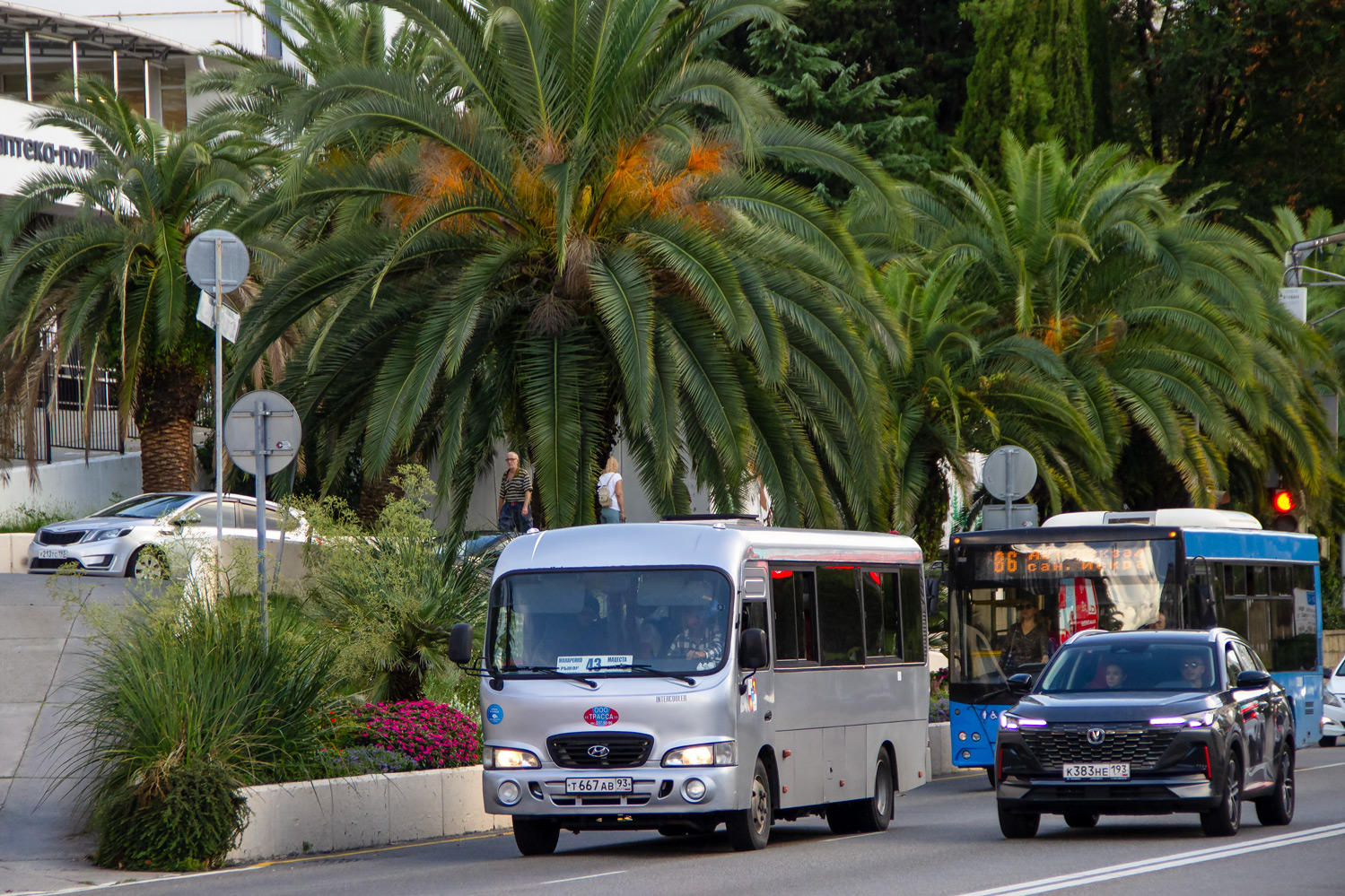 Краснодарский край, Hyundai County LWB C09 (ТагАЗ) № Т 667 АВ 93