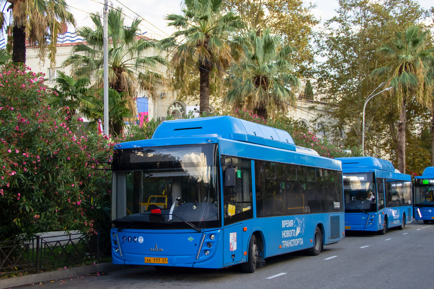 Краснодарский край, МАЗ-206.948 № АЕ 117 23