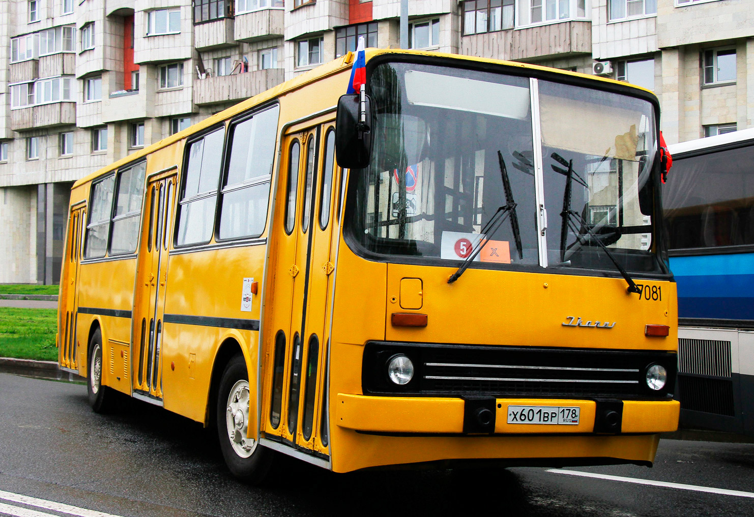 Санкт-Петербург, Ikarus 260.37 № 7081; Санкт-Петербург &mdash; VI Международный транспортный фестиваль "ТранспортФест-2025"