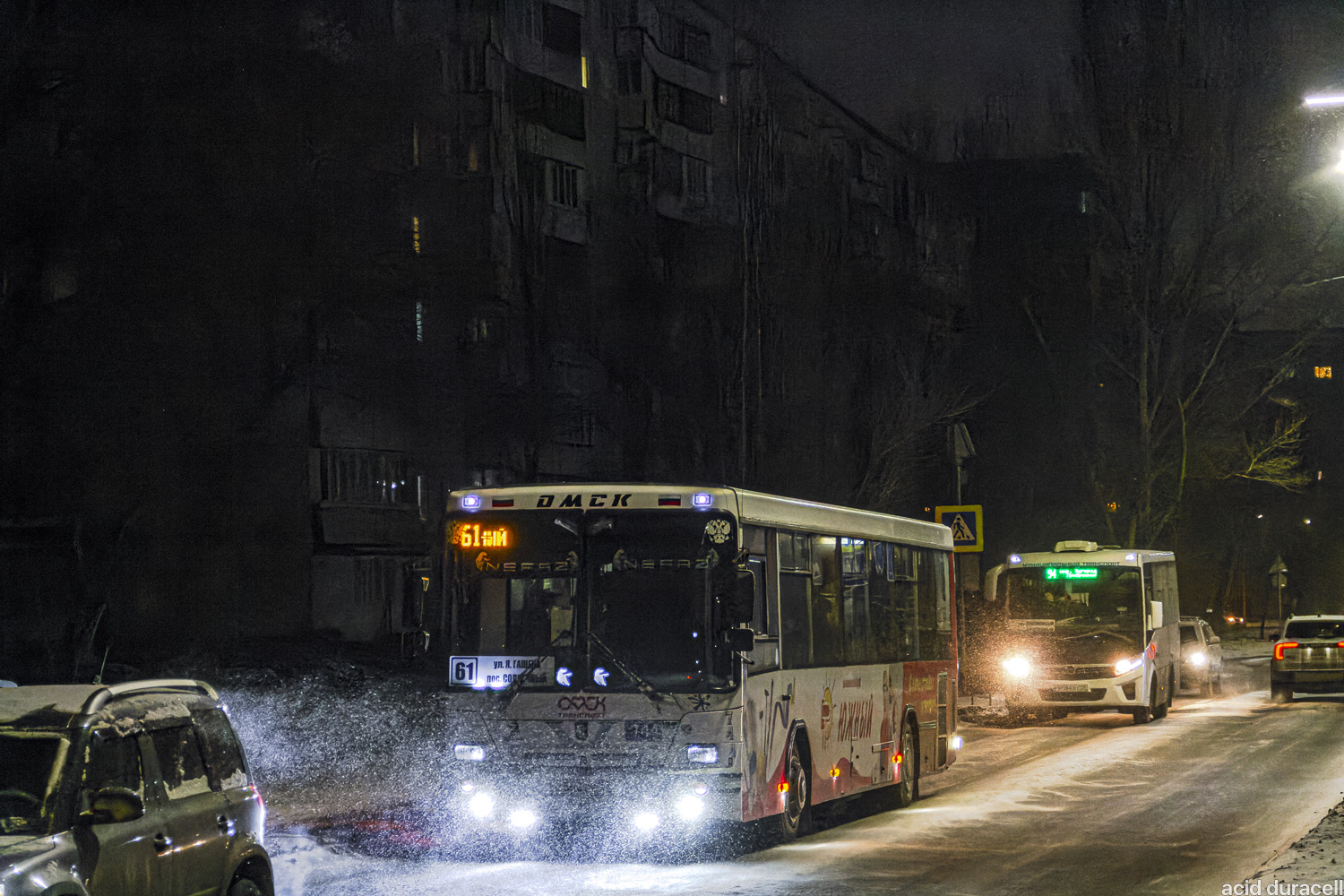 Омская область, НефАЗ-5299-20-32 № 744