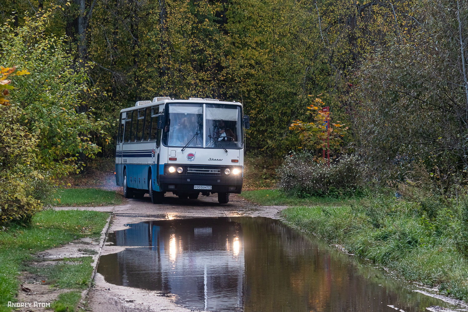 Москва, Ikarus 250.95 № Р 003 ЕМ 177