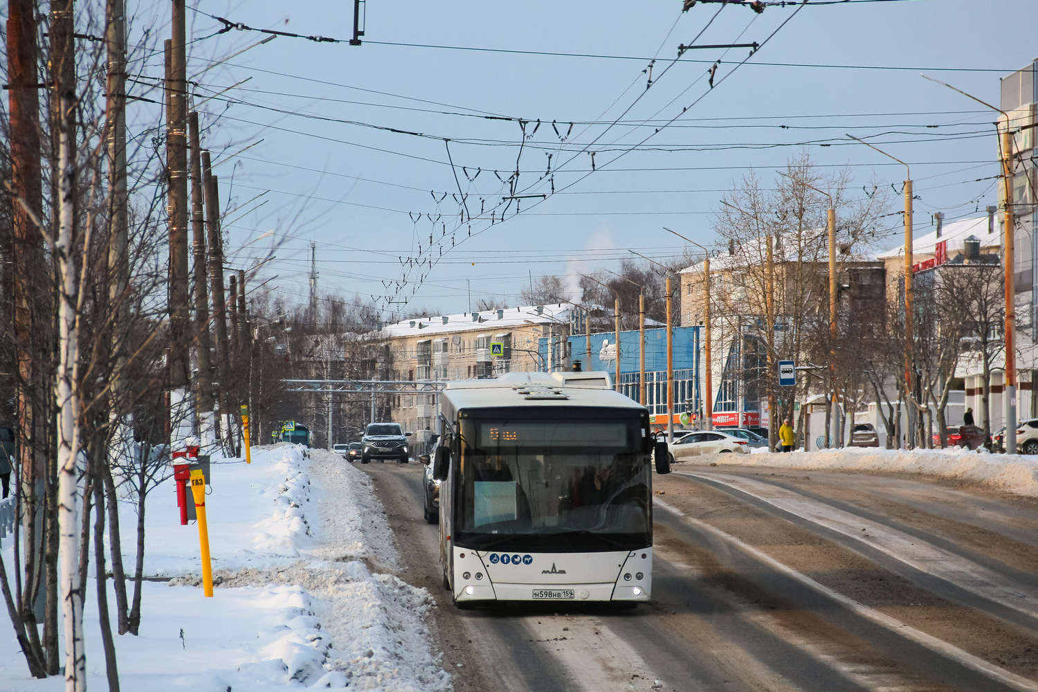 Пермский край, МАЗ-203.016 № Н 598 НВ 159